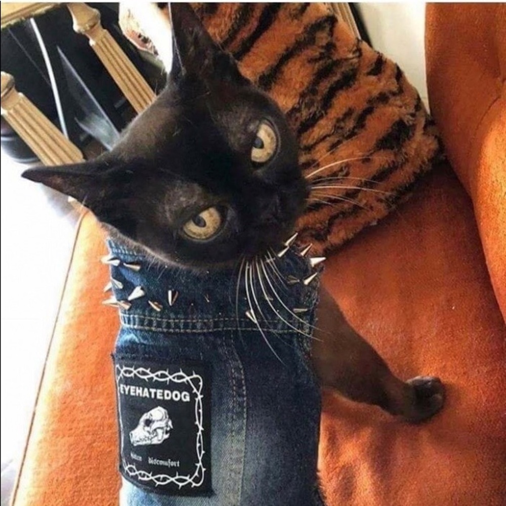 Meet your Posher, Justine